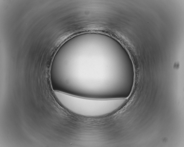 X0000091181169200708091040