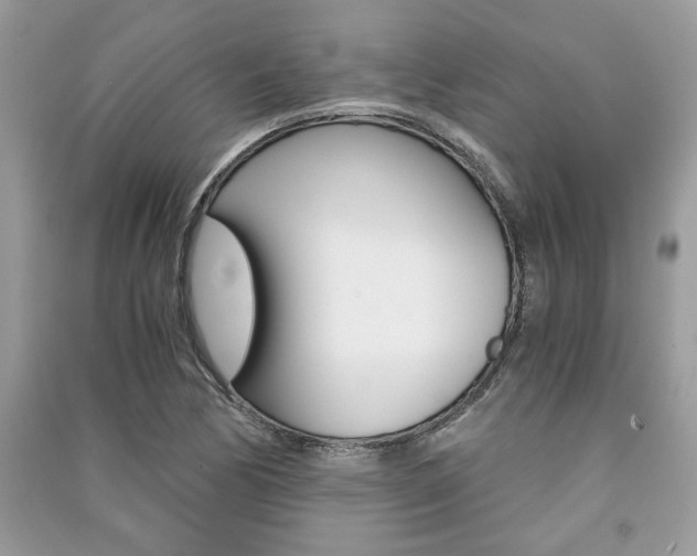 X0000091181170200708091040