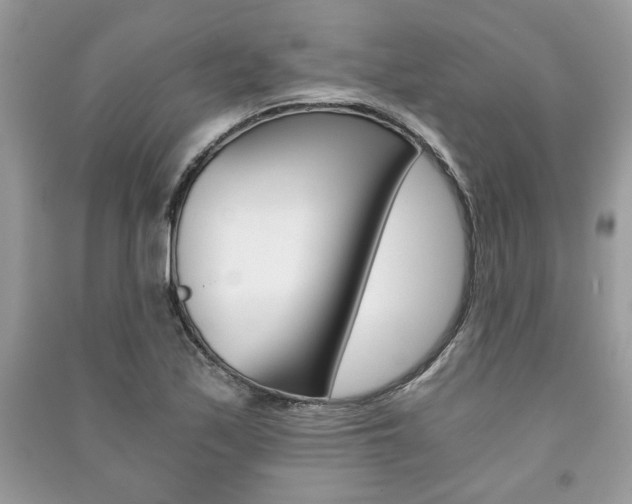 X0000091181171200708091040
