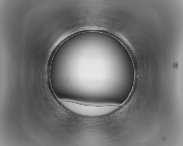 X0000091181173200708091040