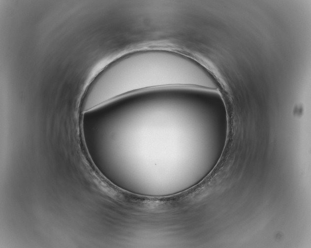 X0000091181176200708091040