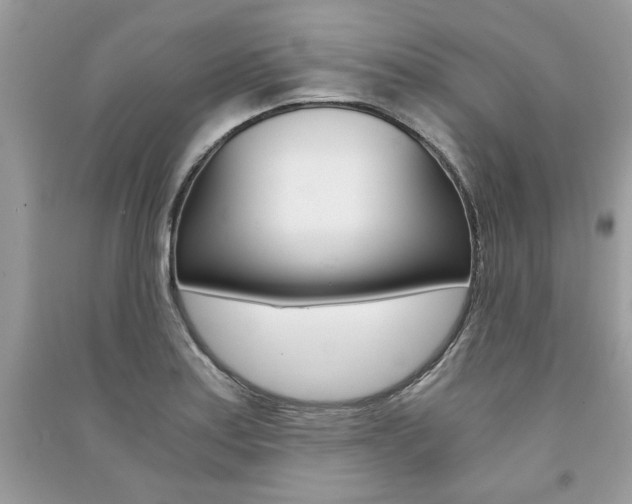 X0000091181179200708091040