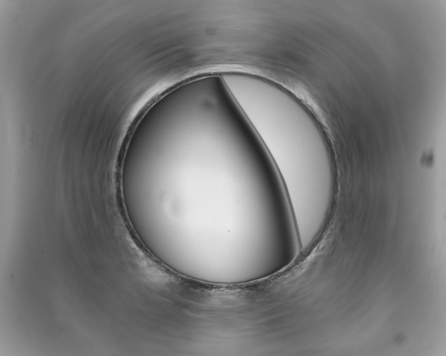X0000091181181200708091040