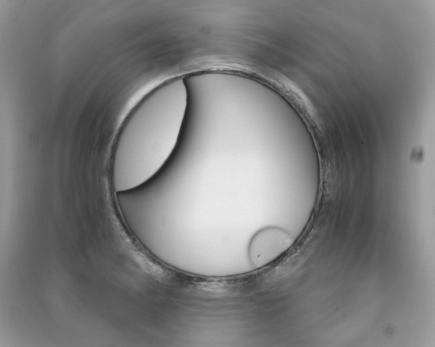 X0000091181182200708091040