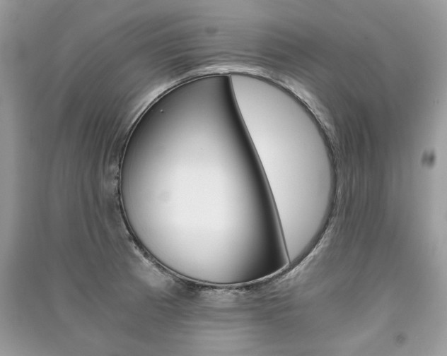 X0000091181185200708091040