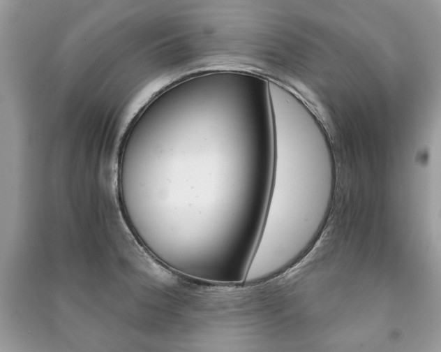 X0000091181188200708091040