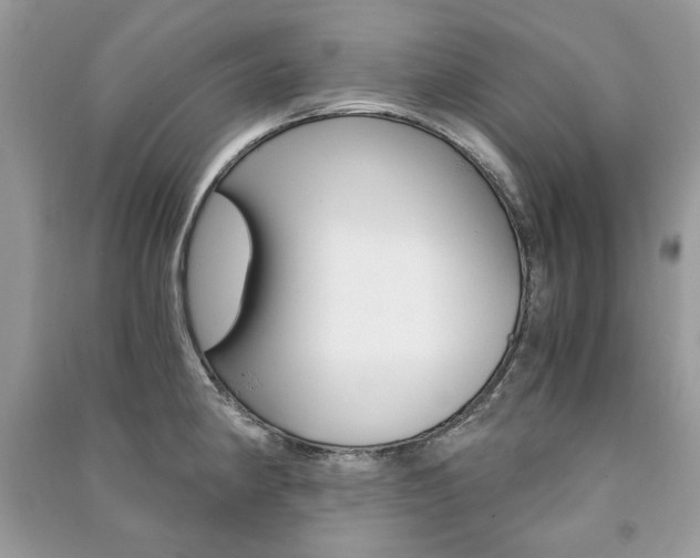 X0000091181190200708091039