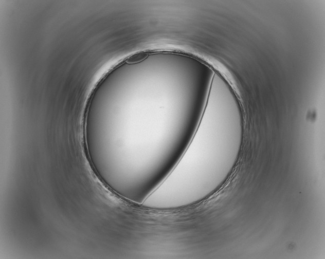 X0000091181191200708091039