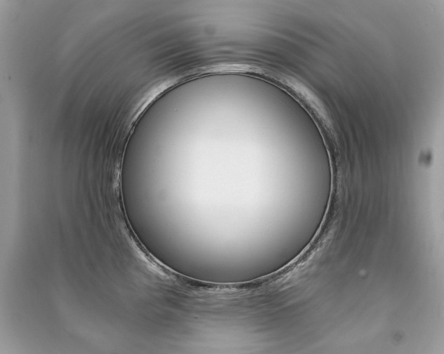 X0000091181193200708091039