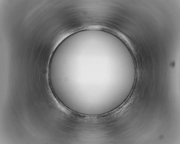 X0000091181194200708091039