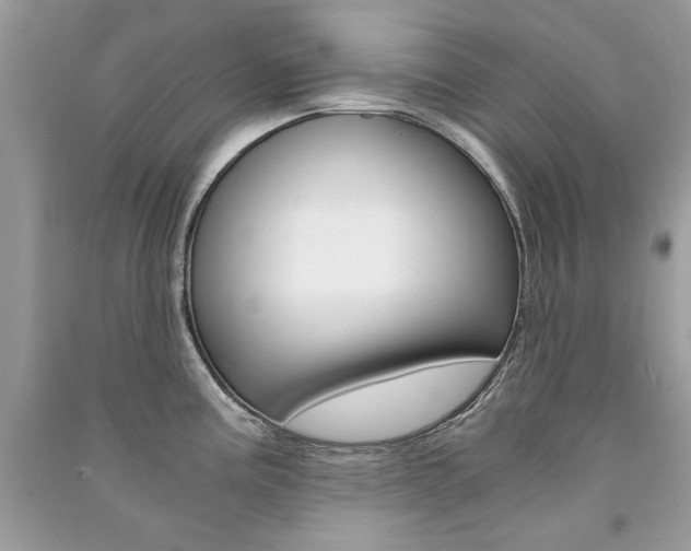 X0000091181195200708091039
