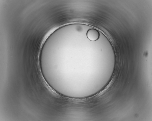 X0000091181196200708091039