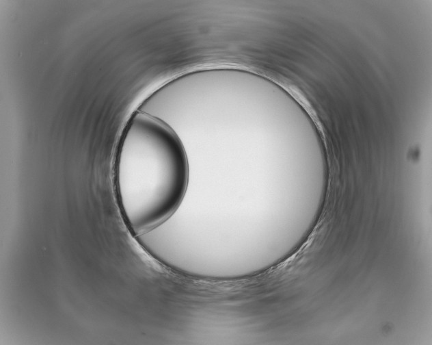 X0000091181197200708091039