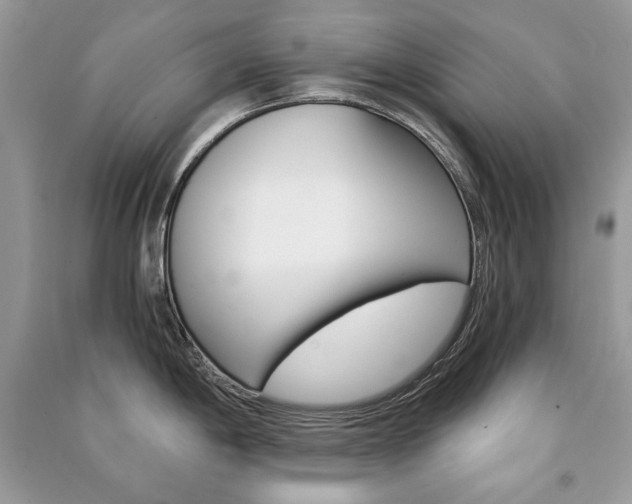 X0000091181198200708091039