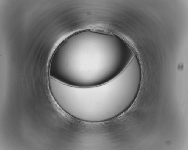 X0000091181200200708091039