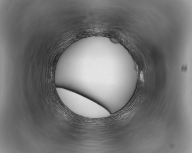 X0000091181203200708091039
