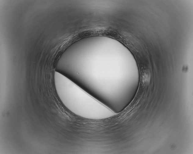 X0000091181204200708091039