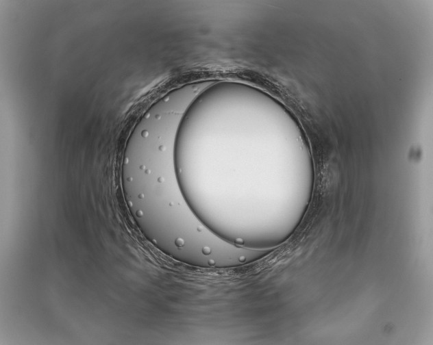 X0000091181205200708091039