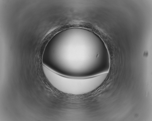 X0000091181206200708091039