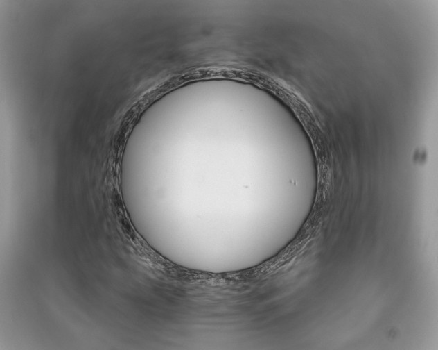X0000091181207200708091039