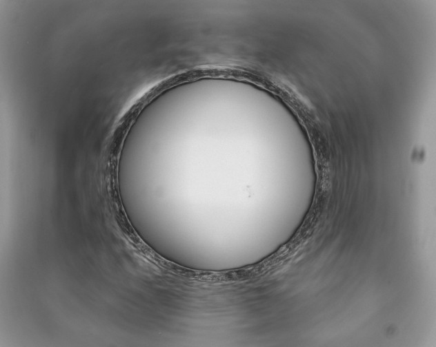 X0000091181208200708091039