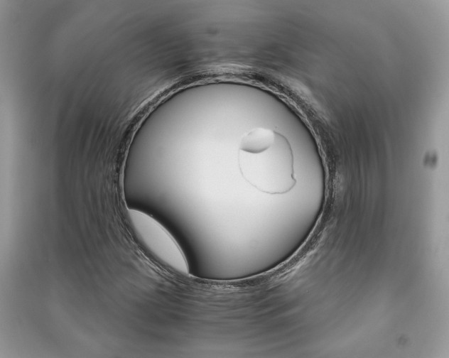 X0000091181209200708091039