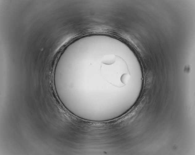 X0000091181211200708091039