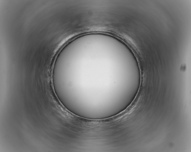 X0000091181212200708091039
