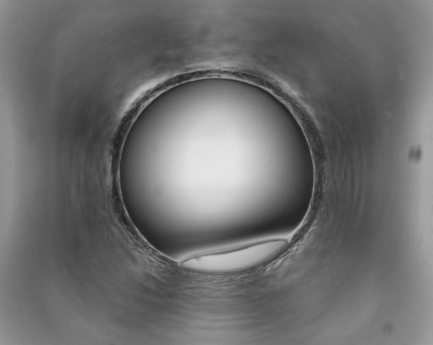 X0000091181214200708091039