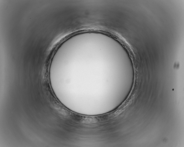 X0000091181215200708091039