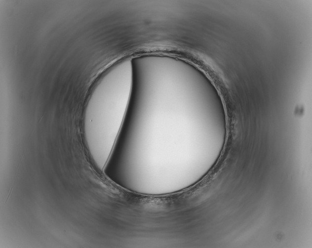 X0000091181217200708091039