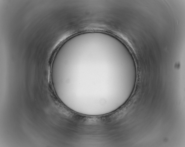 X0000091181219200708091039