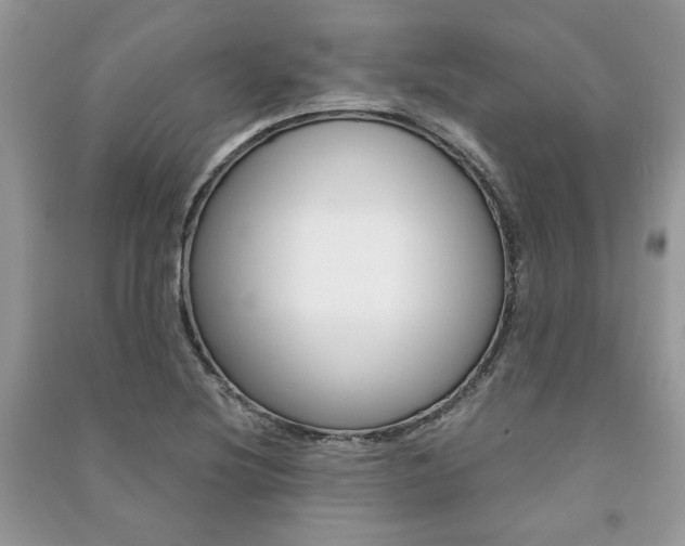 X0000091181220200708091039