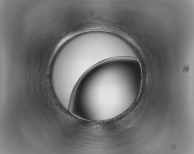 X0000091181222200708091039