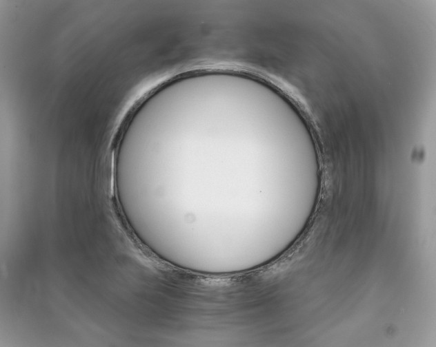 X0000091181223200708091039