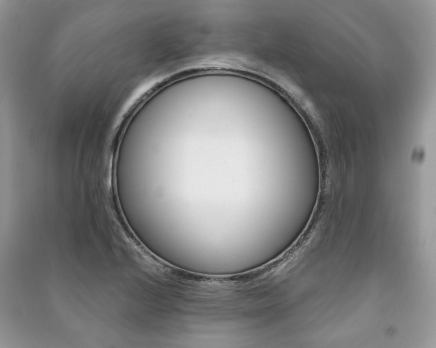 X0000091181224200708091039