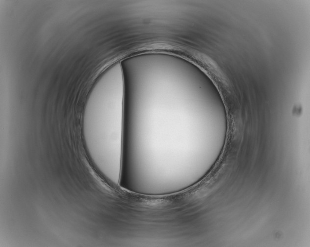 X0000091181225200708091039