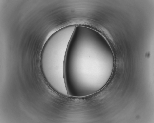 X0000091181226200708091039