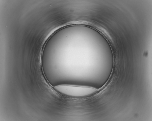 X0000091181228200708091039