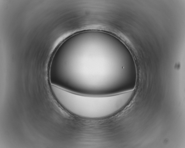 X0000091181230200708091039