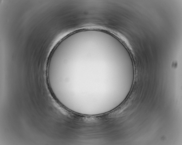 X0000091181231200708091039