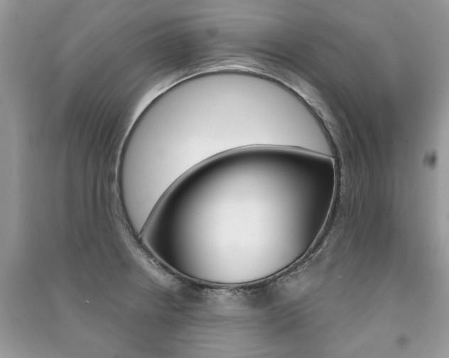 X0000091181234200708091039