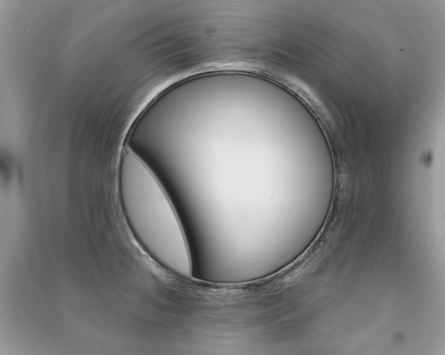 X0000091181236200708091039