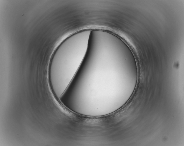 X0000091181237200708091039