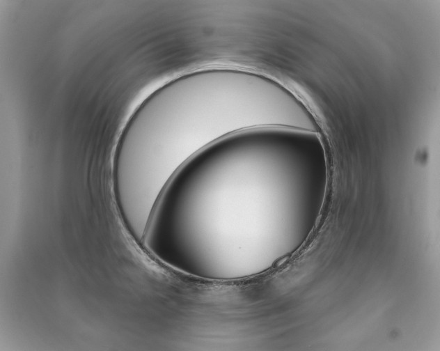 X0000091181238200708091039