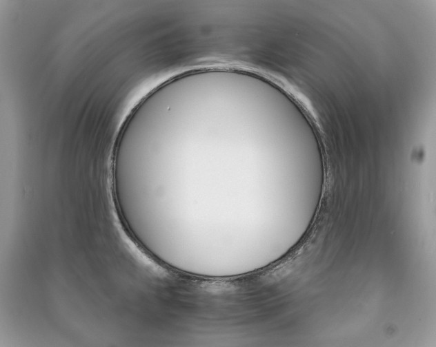 X0000091181239200708091039