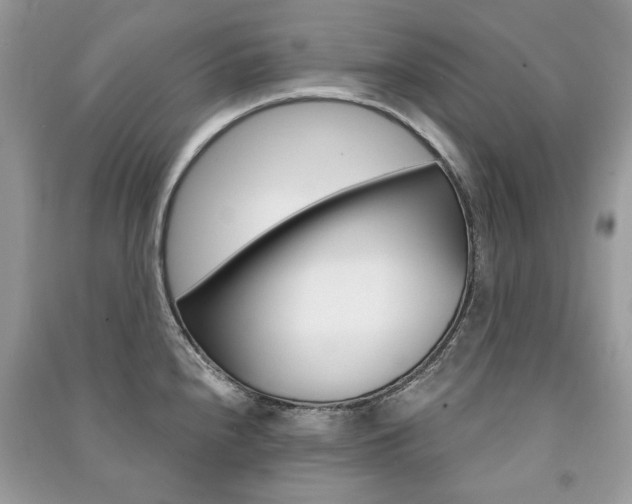 X0000091181240200708091039