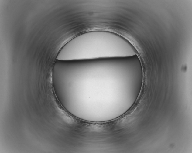X0000091181241200708091039