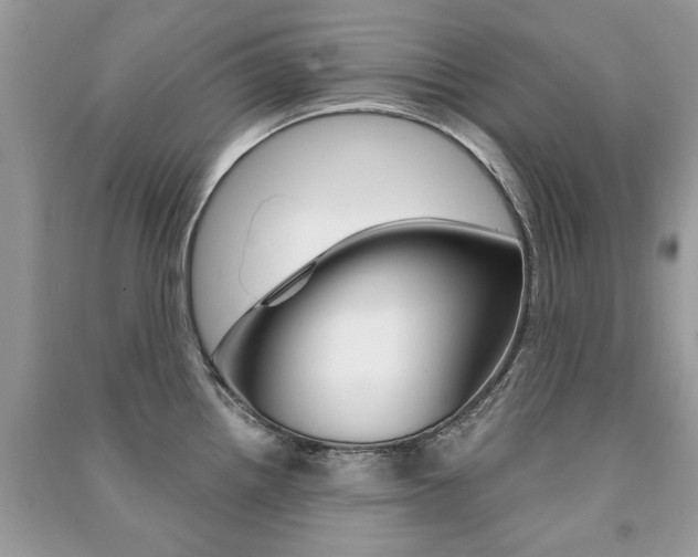 X0000091181242200708091039