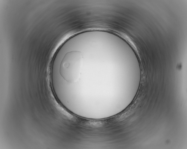 X0000091181243200708091039